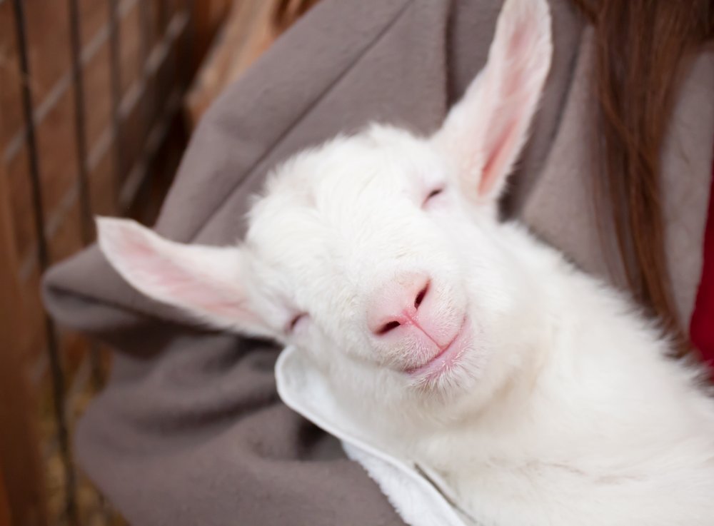 MAA💍 (@MAA_TC) / Posts / X