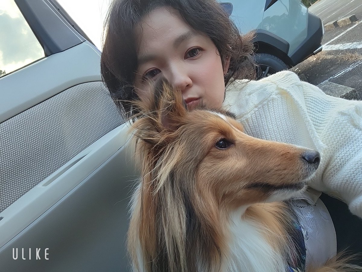 pun1217's tweet photo. ひっさびさのポトレ撮影行ってきたよ✌️🚗³₃🐕 ͗ ͗
わんこポトレ出来たの最高に満足‼️♡ https://t.co/imOjbY9w3u