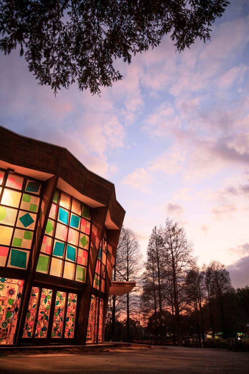 さくらたろす♡美品♡iPhone14 128GB Sakura (@sakuraing64) / Posts / X