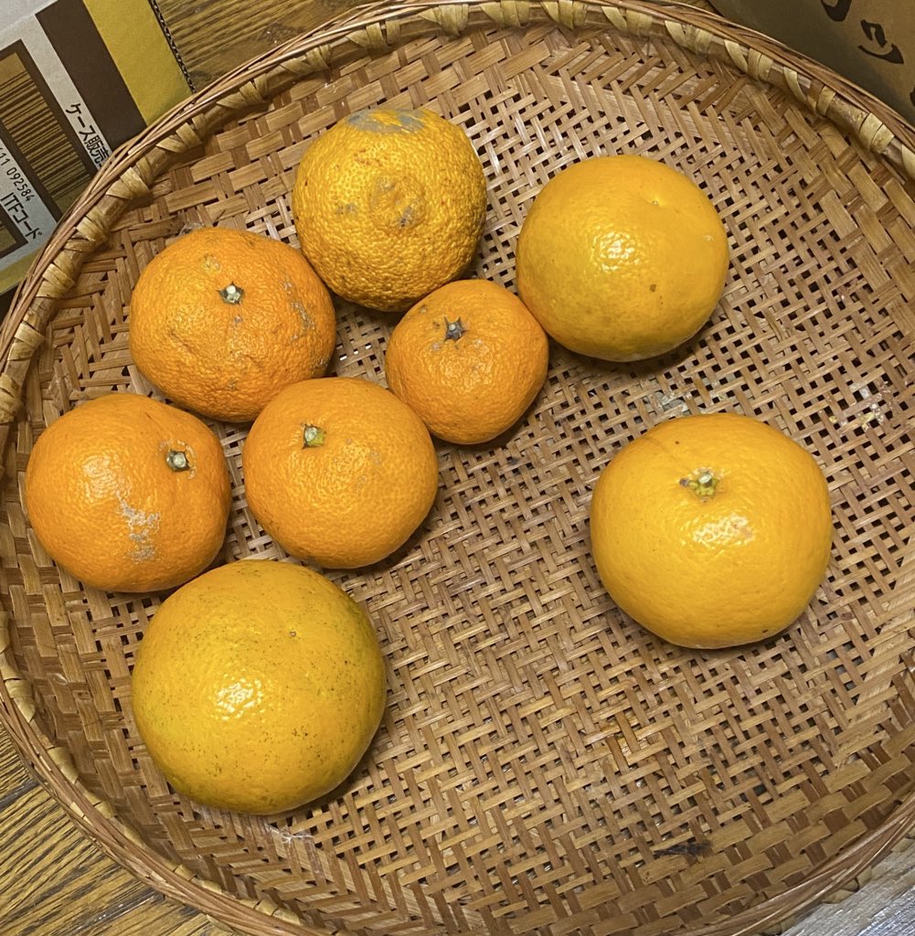 おじいちゃん家来たんだけど
消化器入ってると思ったら
みかん出てきた🍊