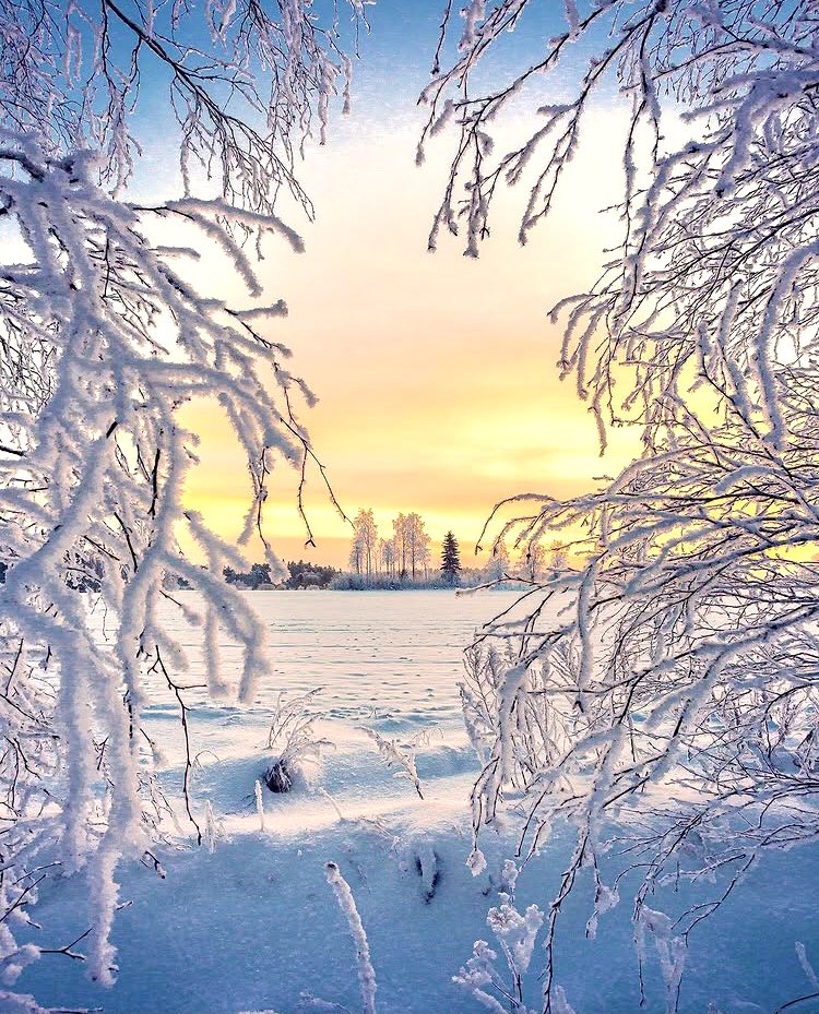 May the light and opportunities of the new week be with you. May your days be filled with joy and beautiful moments.

#naturelovers #ourfinland #laurilohi 🇫🇮