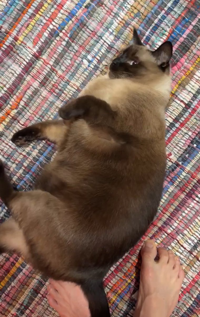 ตาฟ้า จมูกโด่ง ผิวสองสี หุ่นหมี อบอุ่นรักครอบครัว