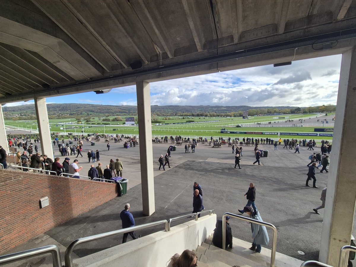 Road To Cheltenham tweet media