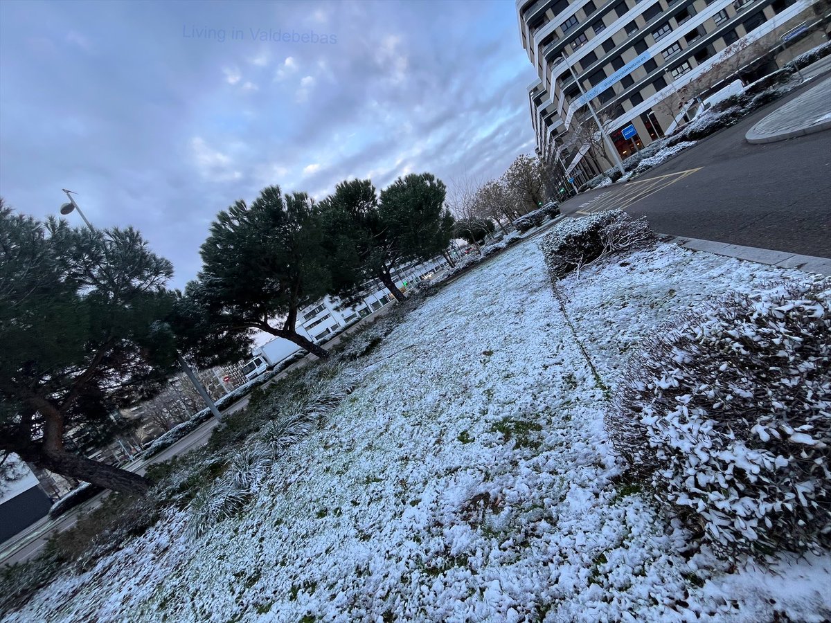 Living in Valdebebas tweet media