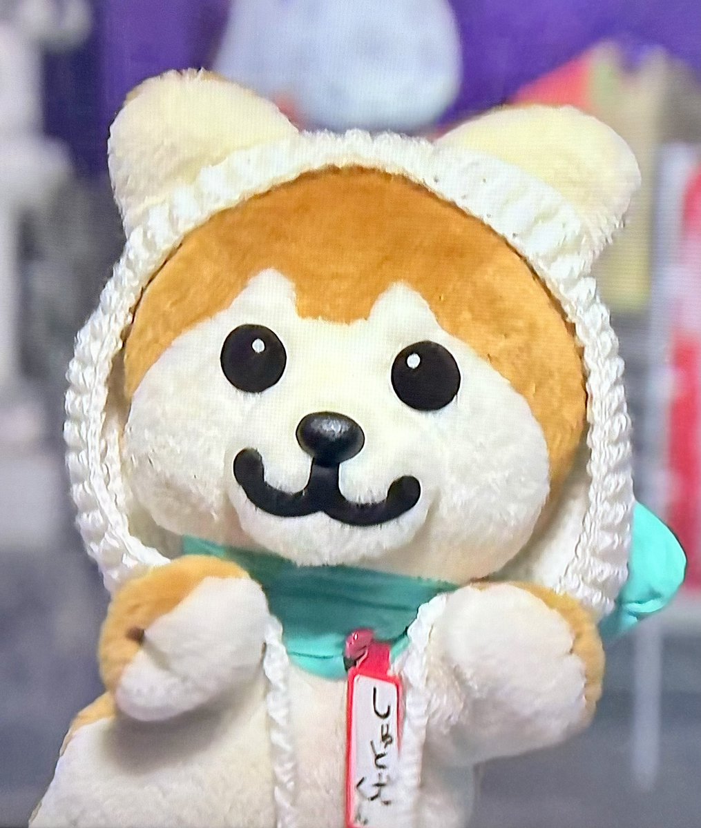 いぬくん 新年1発目のしゅと犬くん、鏡餅に変身🐶 可愛さ爆発！新年早々破壊力