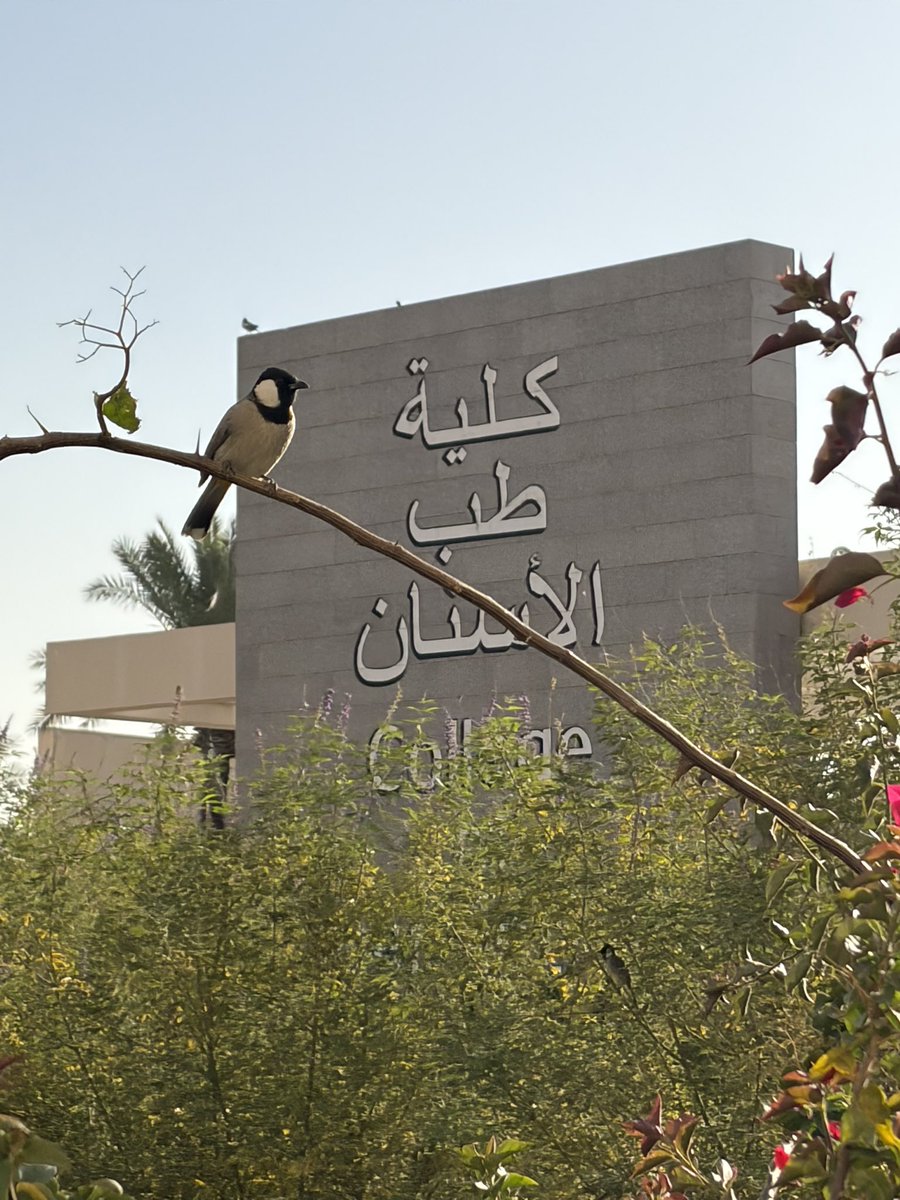 Hassan Al Darweesh tweet media