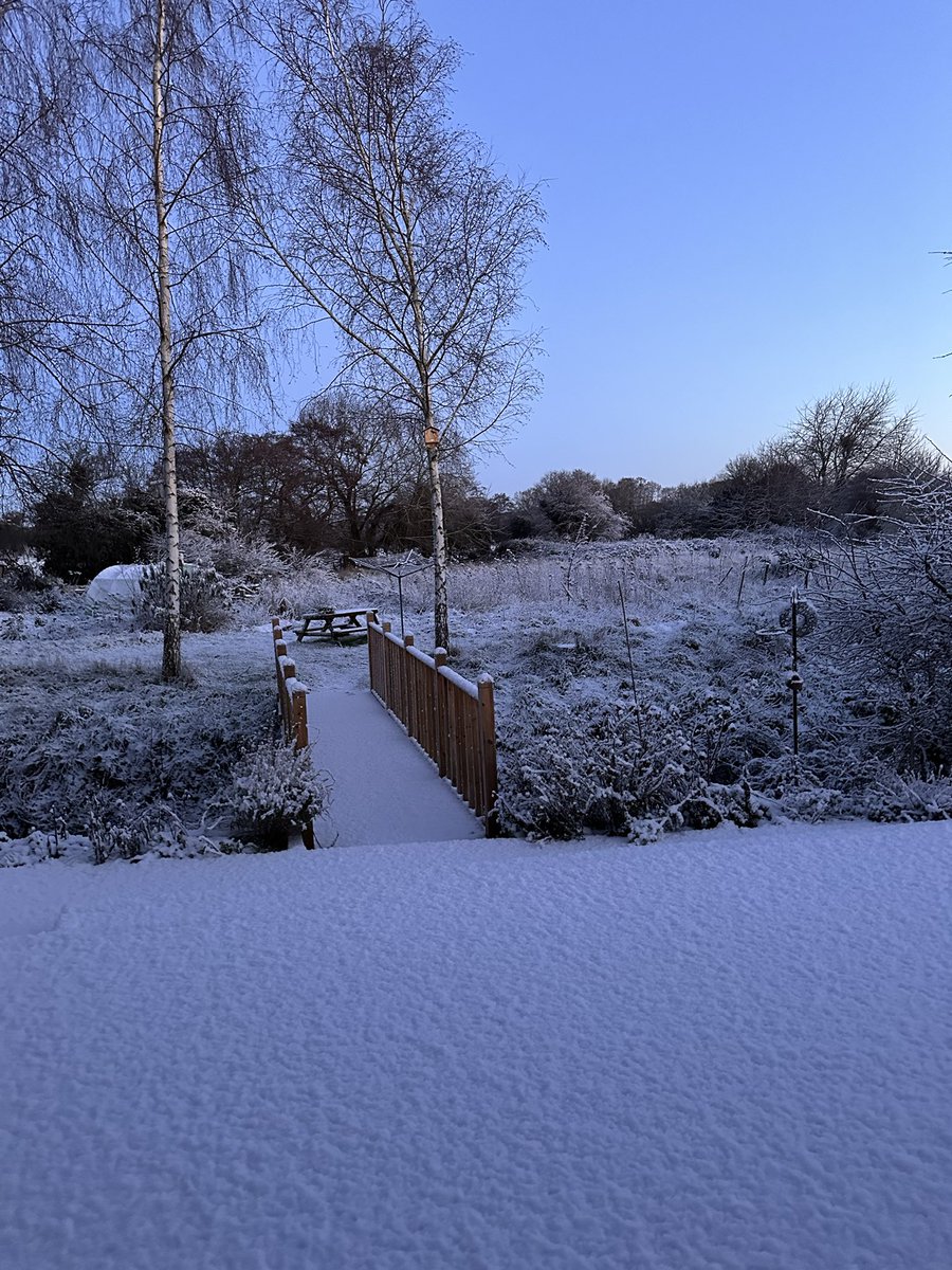 Finally got some snow