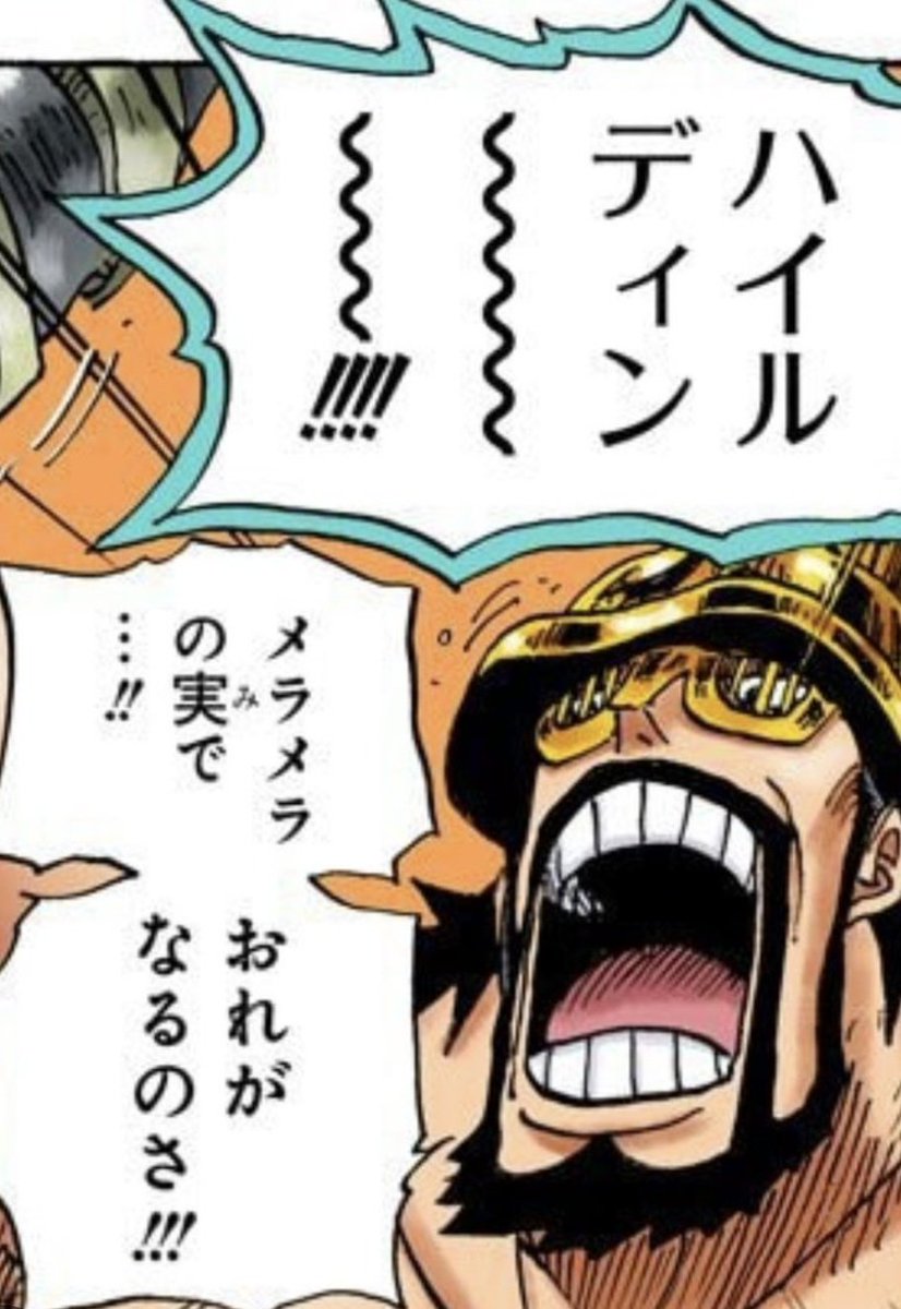 87time09's tweet image. 全巨人族の王になる夢を持つ
ハイルディンが悪魔の実の力を
欲したのも兄弟であるロキの影響が
あったのかな

ハイルディンが火の力を
手にしていたら
ロキの力と対になってたのかな?

#今週のワンピ