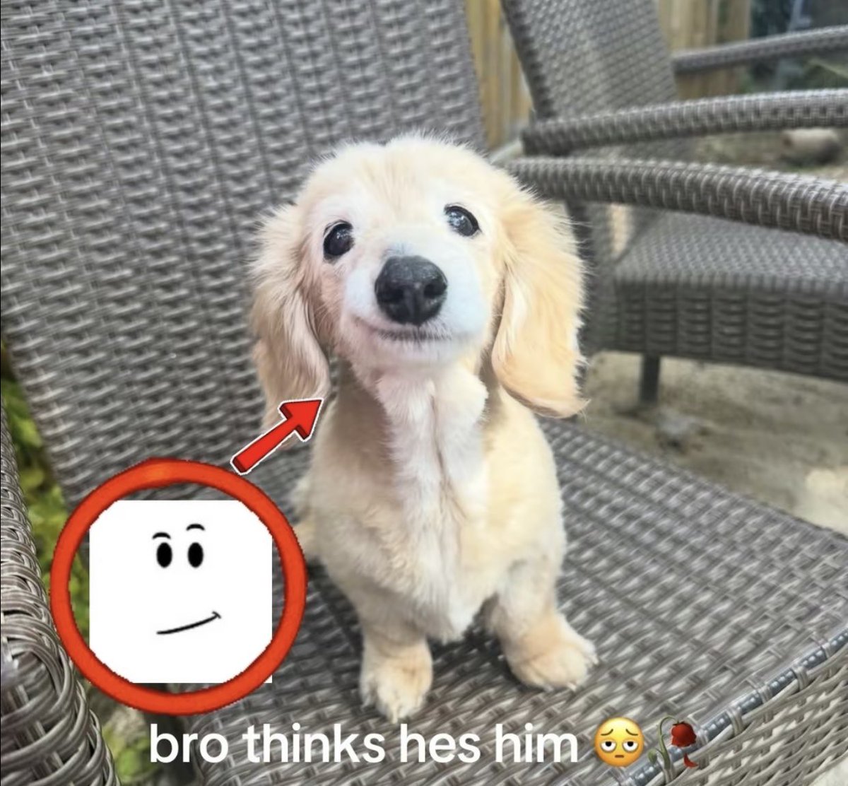 ContextoRoblox's tweet image. 