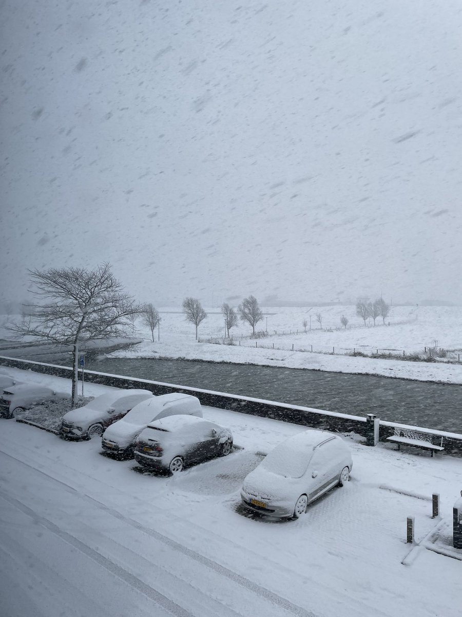 Rupunta's tweet image. Ik ben zojuist buiten geweest. #reinierpaping kan uit de boeken. #sneeuw