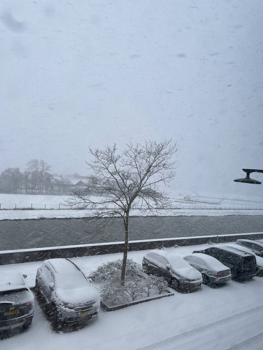 Rupunta's tweet image. Ik ben zojuist buiten geweest. #reinierpaping kan uit de boeken. #sneeuw