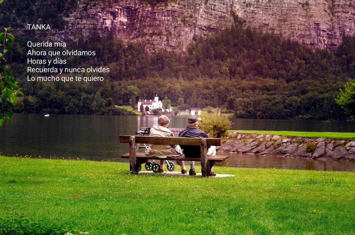 No recanto segredo poesia: Querida mía poemasnorecantosegredo.blogspot.com/2025/12/querid…

#comparteestepoema