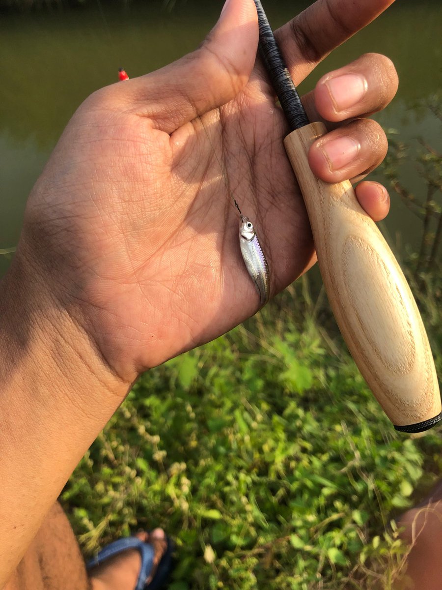 menantank's tweet image. Micro fishing