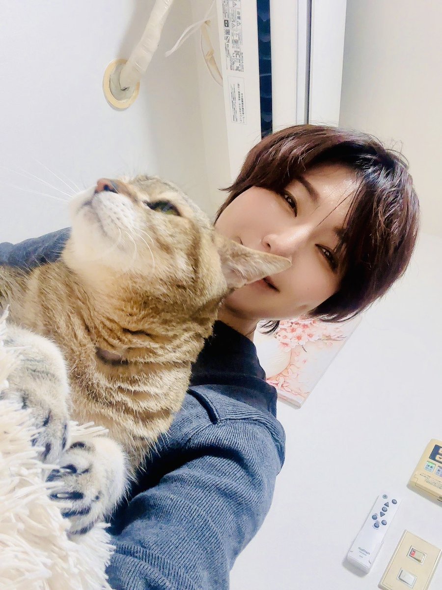 猫ジータページです。 寒いので、お互い寄り添っております。 #今日のベジータ #猫 #ねこ