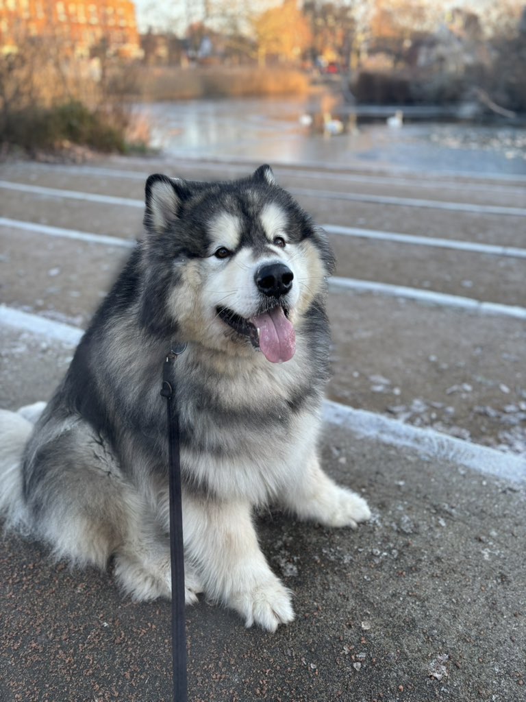 Ben Mitchell tweet media