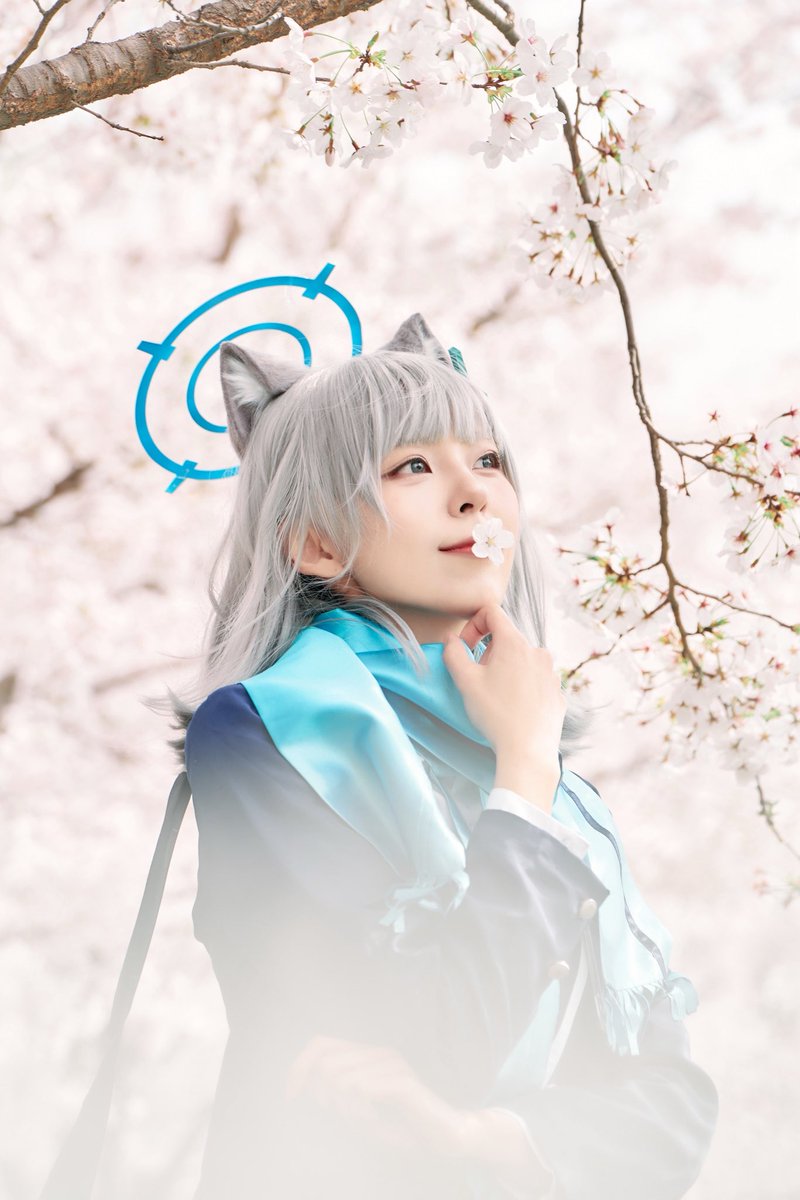 요즘 넘 추우니께..
따듯한 봄에 찍었던 시로코 재업🌷

#BlueArchive #ブルアカ #シロコ