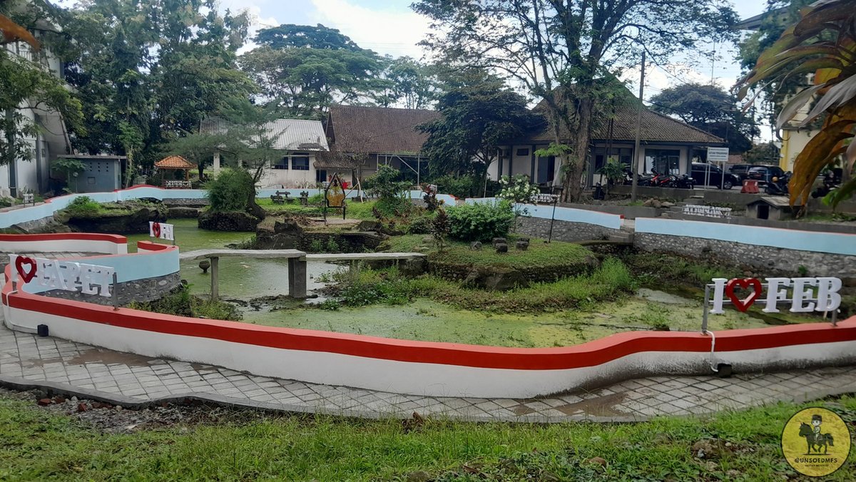 unsoedmfs's tweet image. jends, danau samping rektorat jadi kaya tempat foto ibu ibu