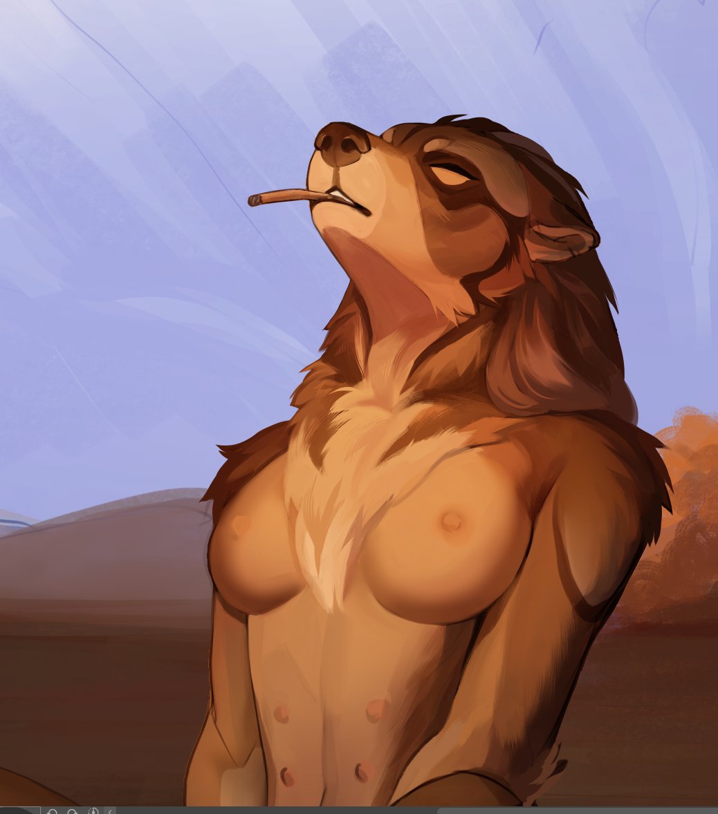 sonja aka plgdd tweet media