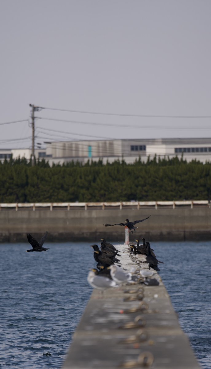 MA--kun@たぶん設備屋 (@msp8888) / Posts / X