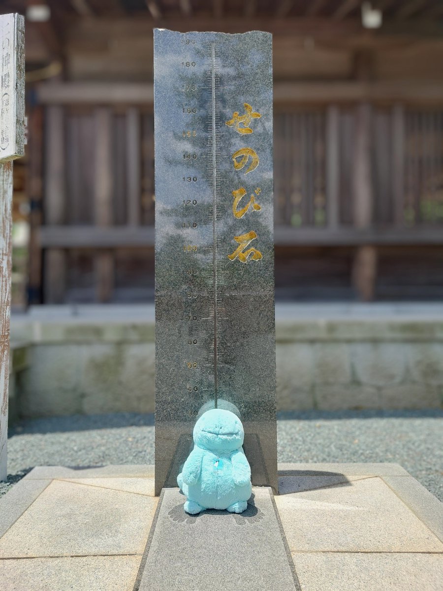 ⛵️まろた tweet media