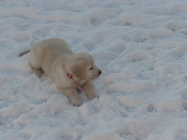 ໊ (@faewings) on Twitter photo 