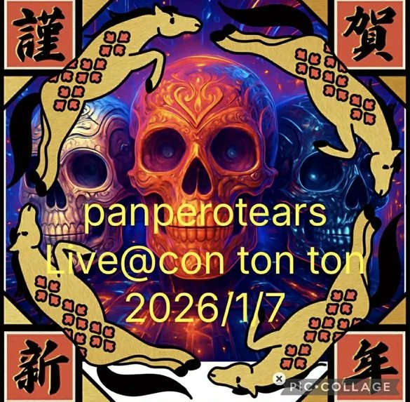 さて、Con Ton Ton Vivo / 四ツ谷三丁目の
2026年1月ですが、、、
新年早々モーレツなことになっております‼️
超豪華賢覧‼️
濃いィ～‼️
見逃せません‼️
毎晩、通ってください😍
ちょっとこちらのフライヤー画像をご覧いただくだけで