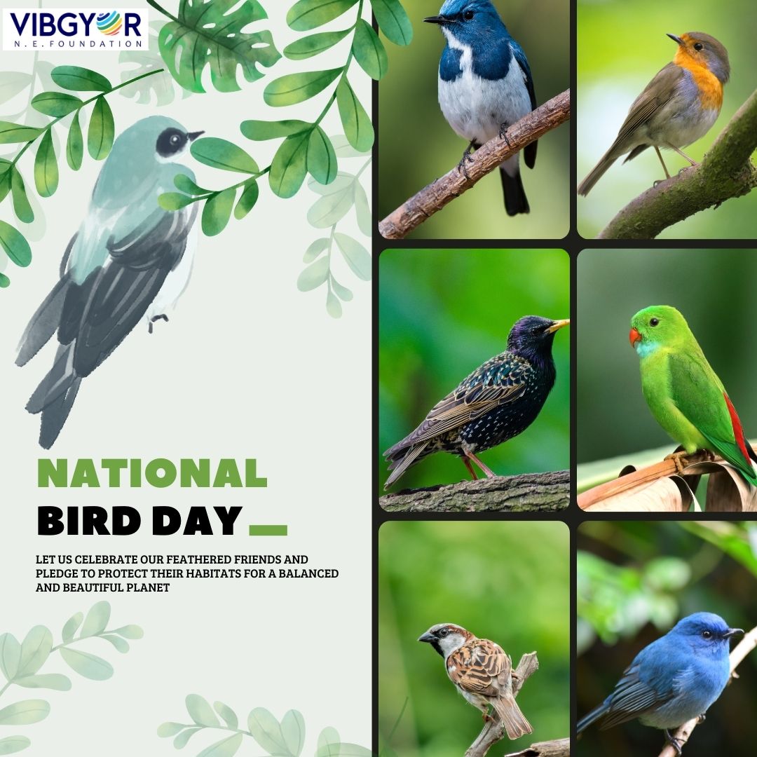 Across Northeast India, rapid habitat loss and ecological stress are putting many bird species at risk.

At Vibgyor N.E. Foundation, we work with local communities, indigenous knowledge systems, and nature-based conservation initiatives to protect habitats.