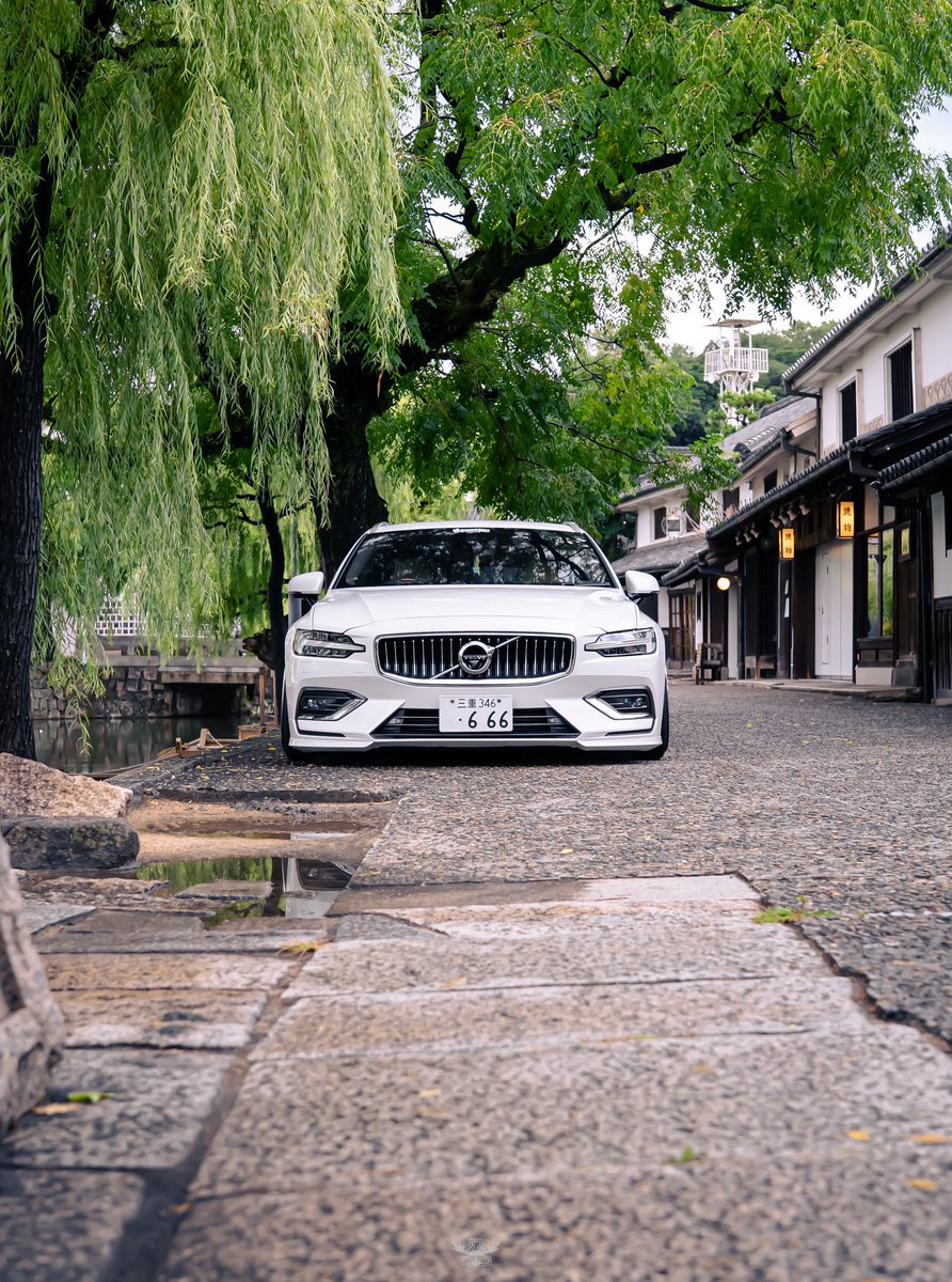 show.ww666 tweet media