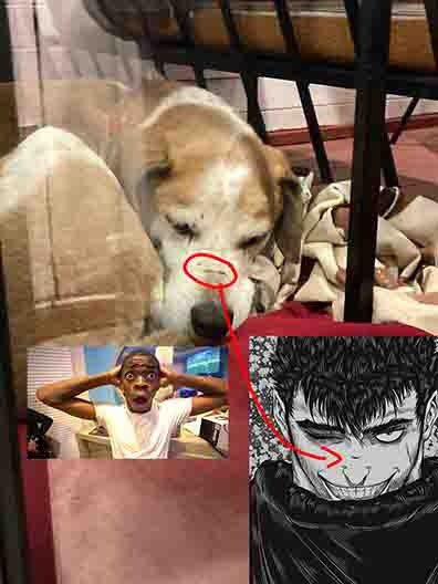 ALTAY (@direktaltay) on Twitter photo 