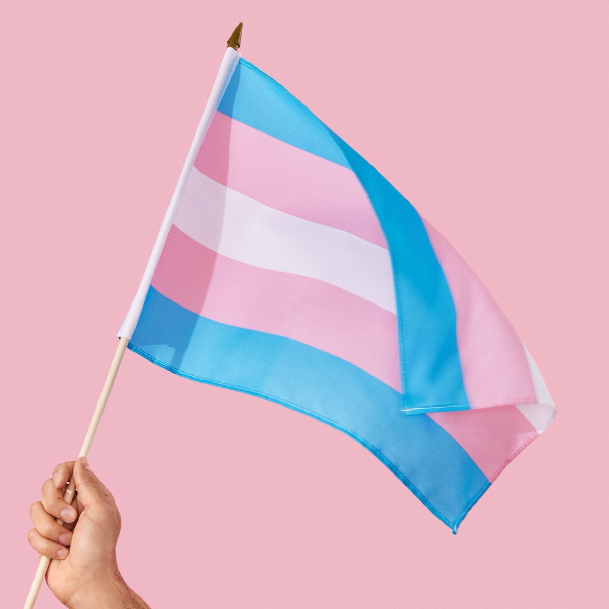 republiqueBRA's tweet image. 🏥 🏳️‍⚧️ Mulher trans de 23 anos compartilha foto após realizar implante de silicone gratuitamente pelo SUS: “VIVA O SUS!”