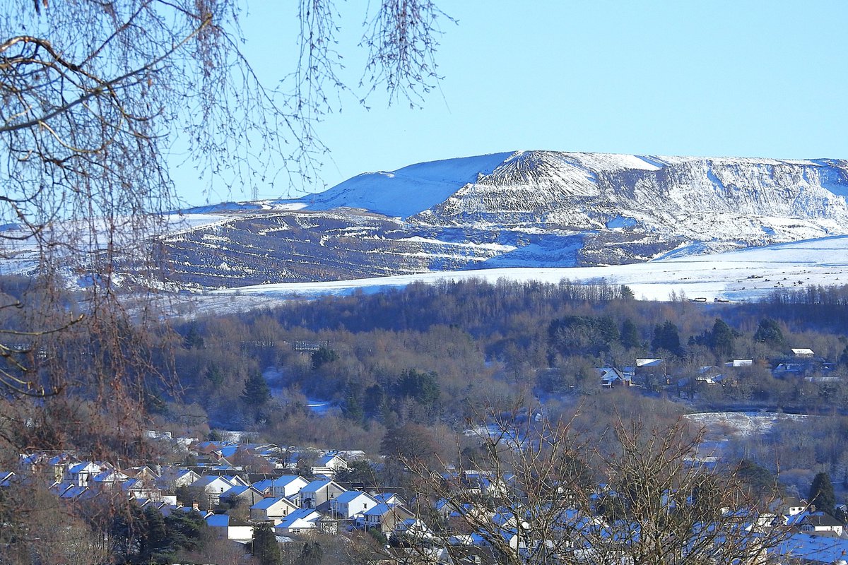 Nigey`s Wild Walks tweet media