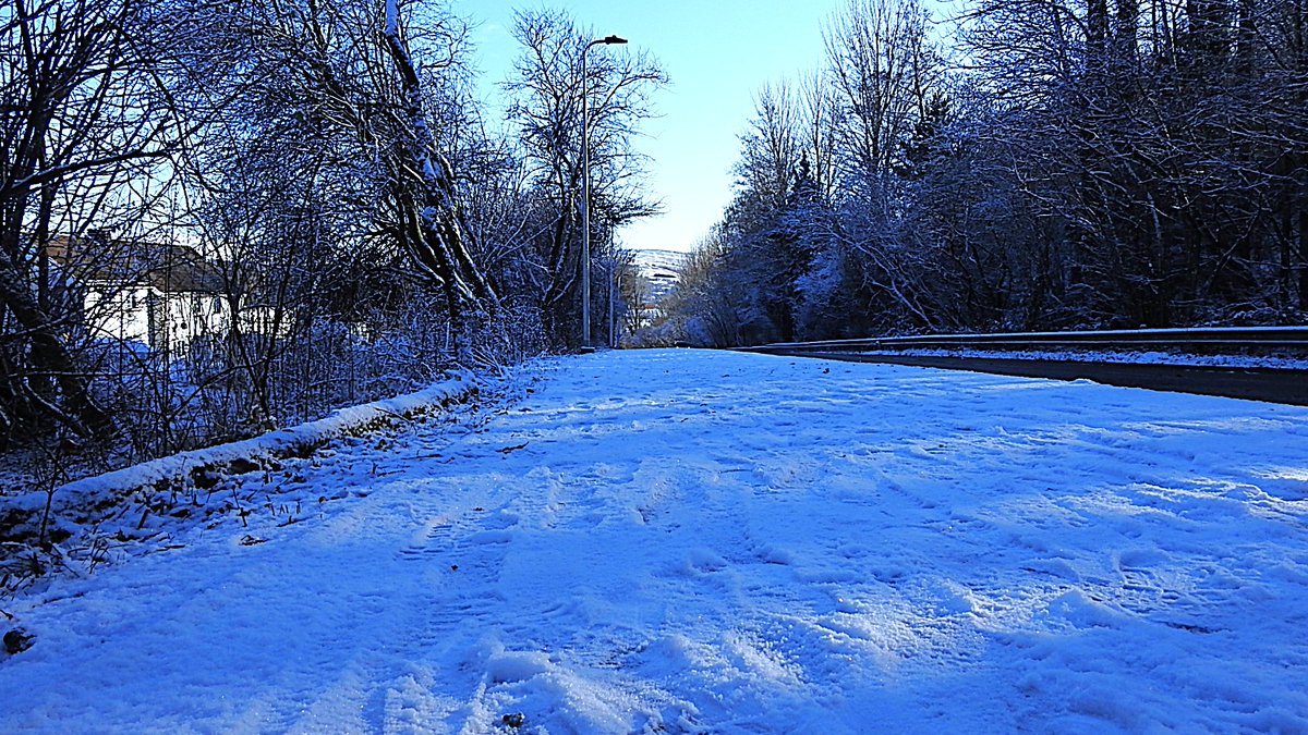 Nigey`s Wild Walks tweet media