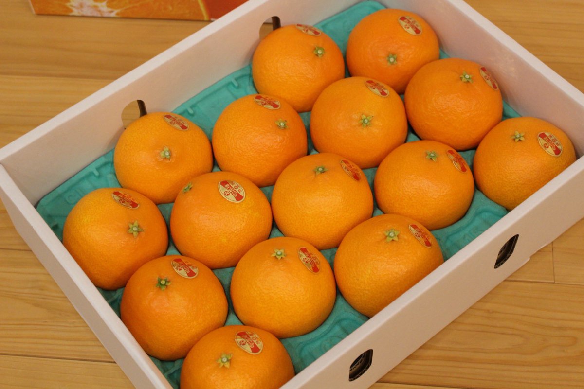 くる (@kuru18_13) / Posts / X