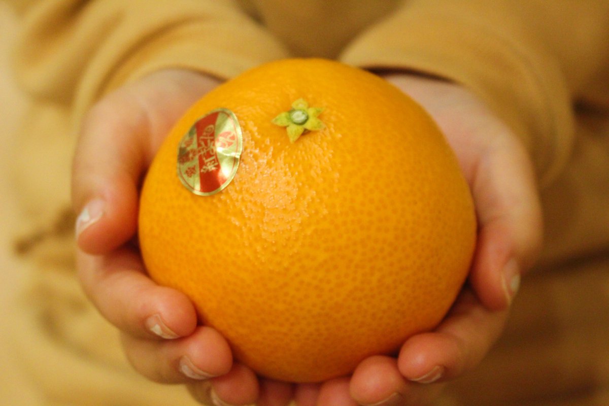 くる (@kuru18_13) / Posts / X