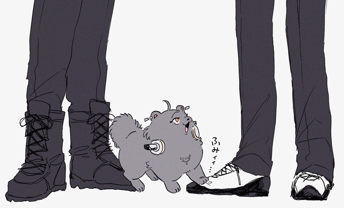 ha7zii's tweet image. ポメれお