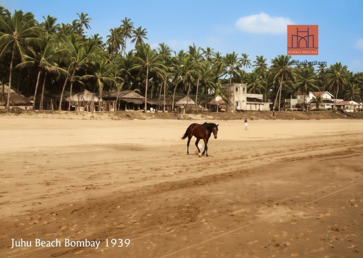 mumbaiheritage's tweet image. Juhu Beach, Mumbai, 1939.
Restored from damaged black-and-white photographs
#OldMumbai