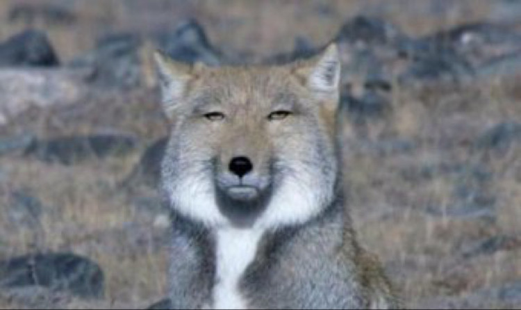 <a href="/aikentakuone/">たくわん先生</a> 推しスペの皆さん
こんばんわんこ！(・∀・)

とりあえず2026年初のコレ、おいときますね( ˙-˙ )ｽﾝ…