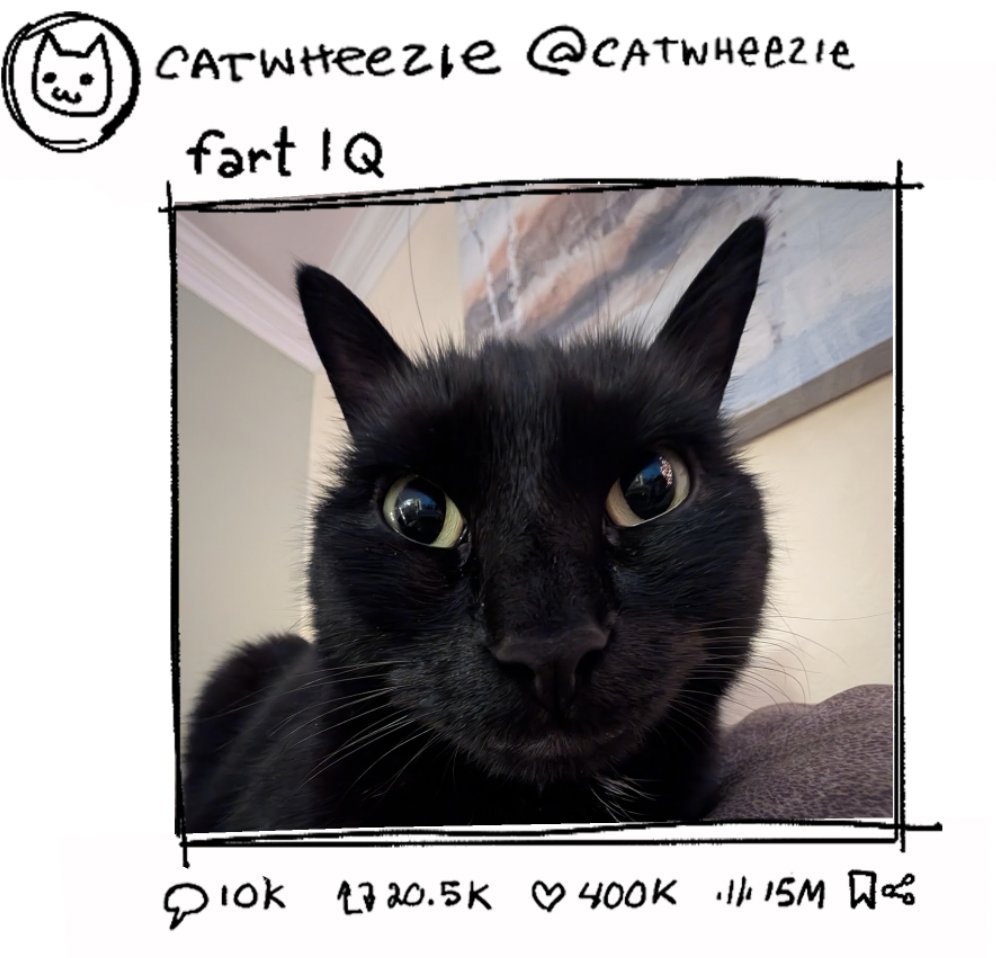 catwheezie's tweet image. Had a dream where the new trend was posting stupid photos of your pet with the caption "fart IQ" 
see example below.