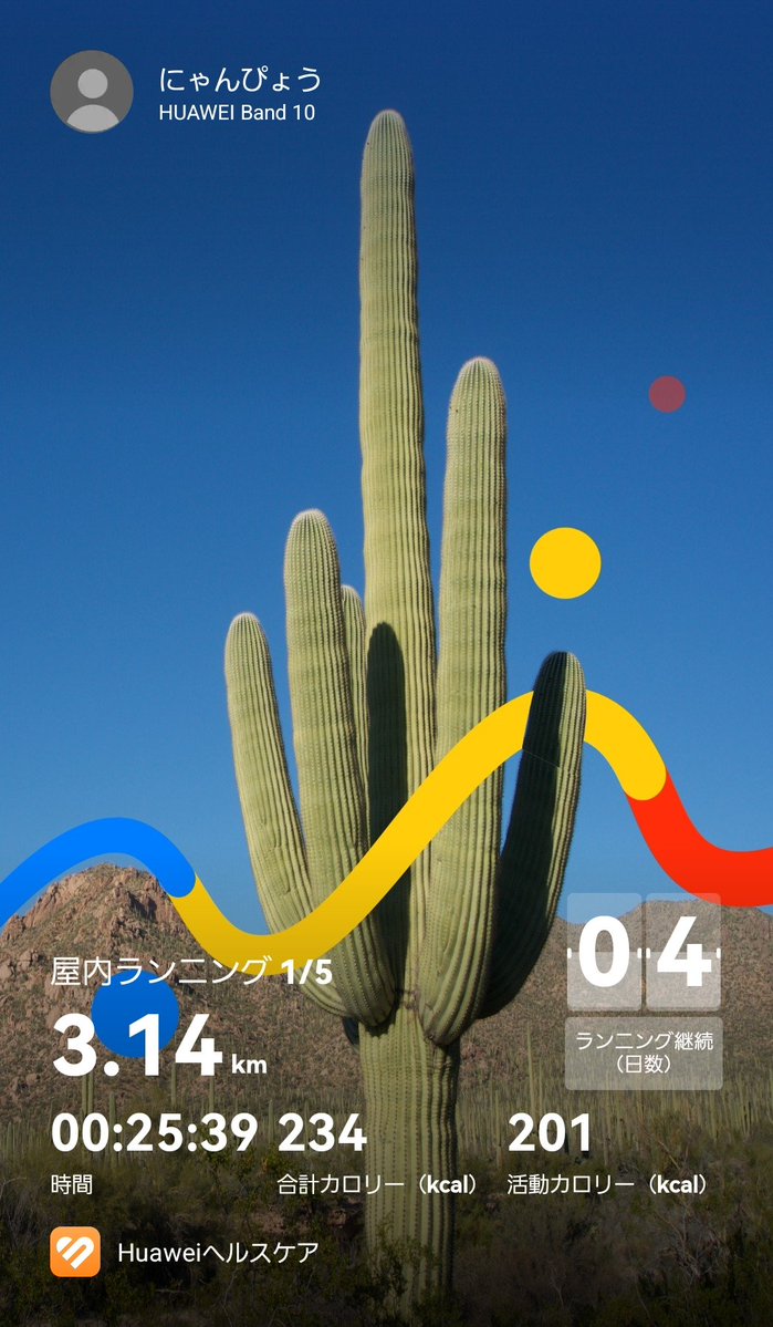 にゃんぴょう☆確認用 m58432851638_1.jpg?1761303756