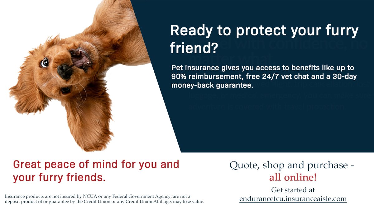 Get protection and peace of mind for your little best friend!  Visit endurancefcu.insuranceaisle.com/pet to quote, shop and purchase pet insurance.