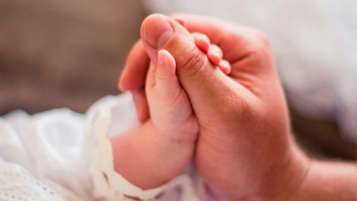 noticies_d's tweet image. VALENCIA// L'Ajuntament de Valencia augmenta a 400 euros les ajudes per al foment de la natalitat i la conciliació familiar
noticiesdigitals.com/lajuntament-de…
#Valencia #ajudes #natalitat #conciliaciófamiliar #noticies