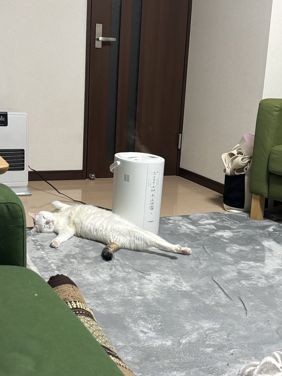 MiyukiHro's tweet photo. 天真爛漫⁉️
幸せそうで何より😊 https://t.co/MoKdU7ZmTH