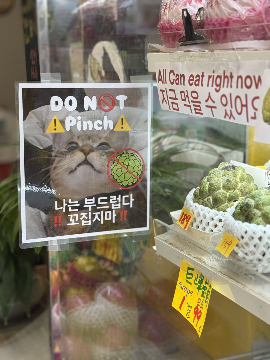 석가 구경하다가 귀여워서 사망할 뻔 함 ㅋㅋㅋㅋㅋㅋ