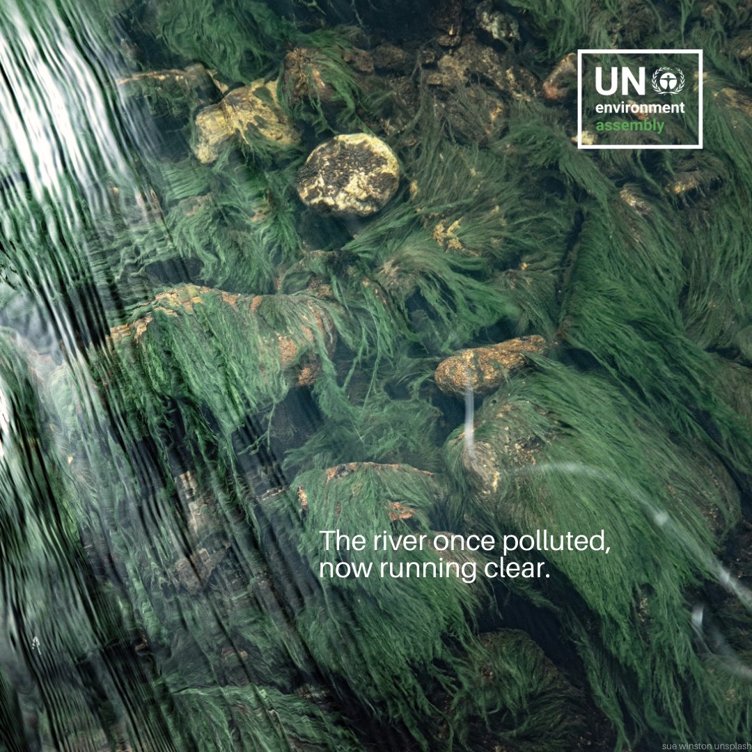 UN Climate Change tweet media