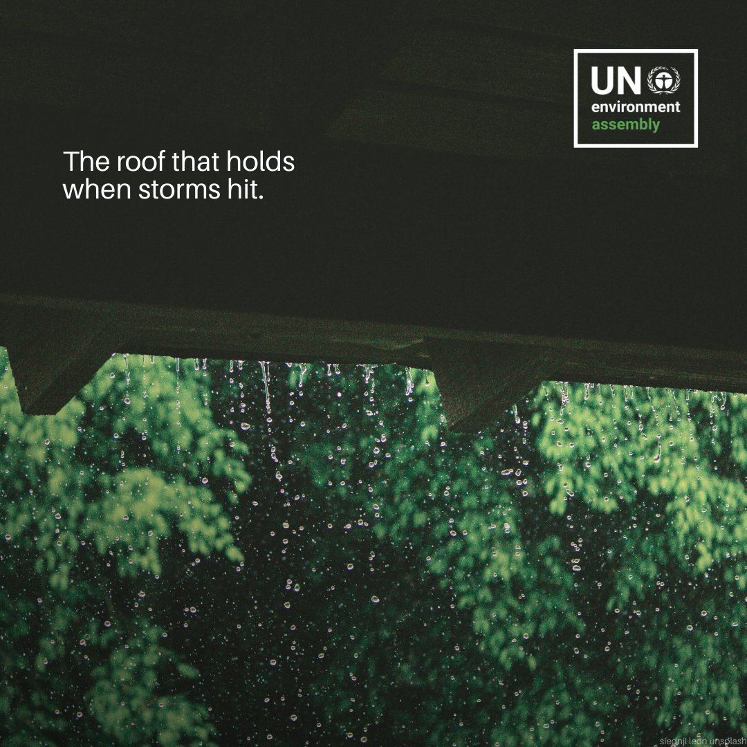 UN Climate Change tweet media