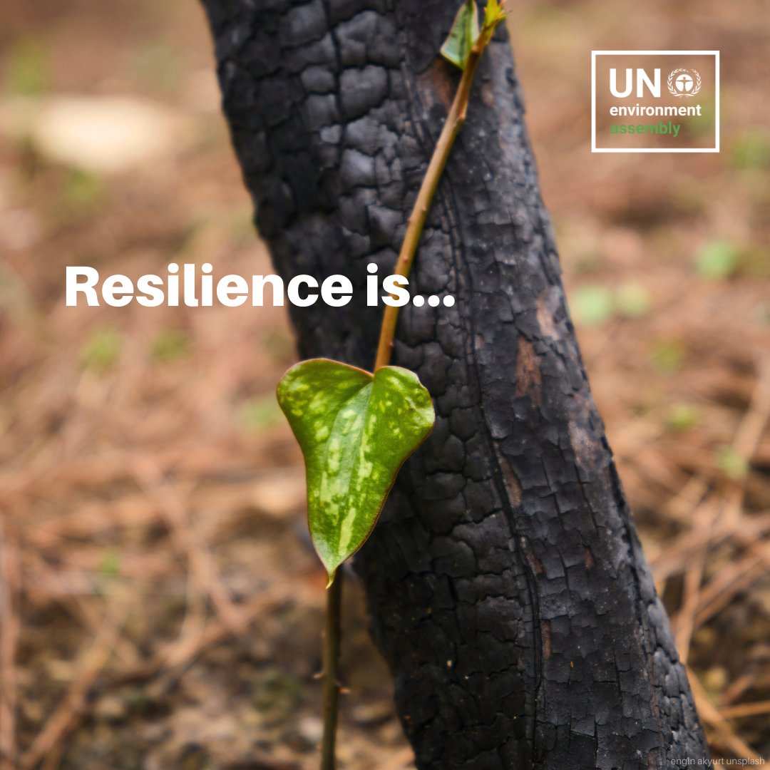 UN Climate Change tweet media