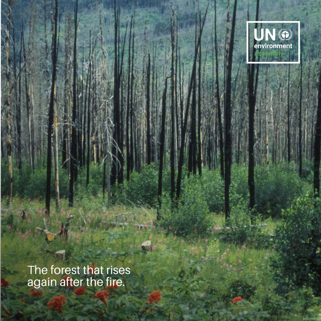 UN Climate Change tweet media