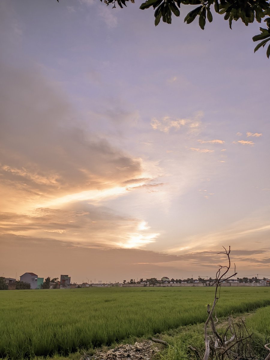 bakso kering tweet media