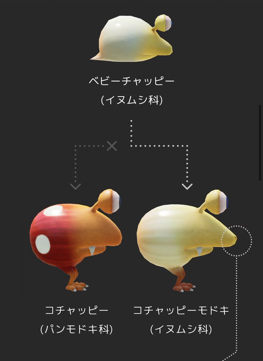 ここテストに出まーす🖐️ チャッピーの赤い斑点のあるちっちゃいコ
