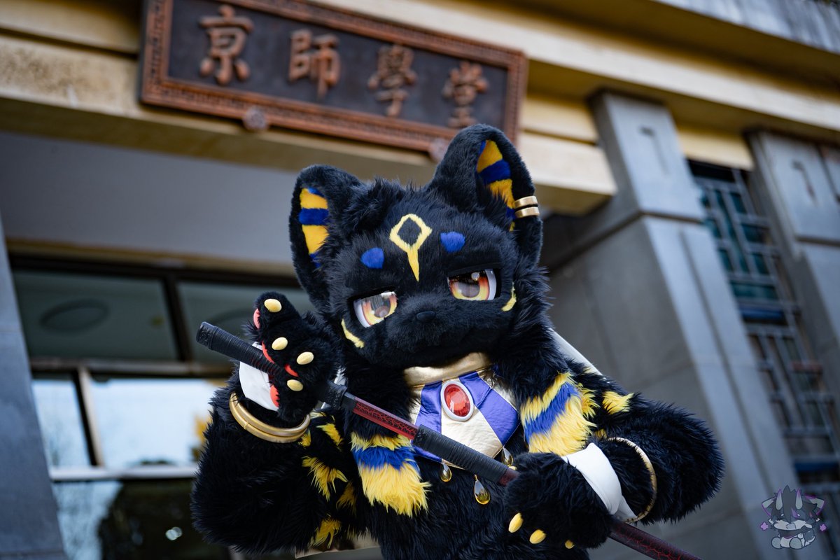 龙灵 Chris →HiFurry tweet media